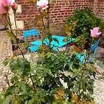 Vakantiehuis Les Racines