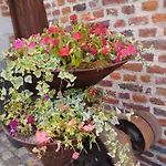 Les Racines Vakantiehuis *