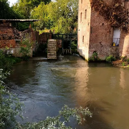 Les Racines Haspres