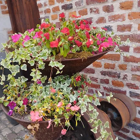 Les Racines Ferienhaus *