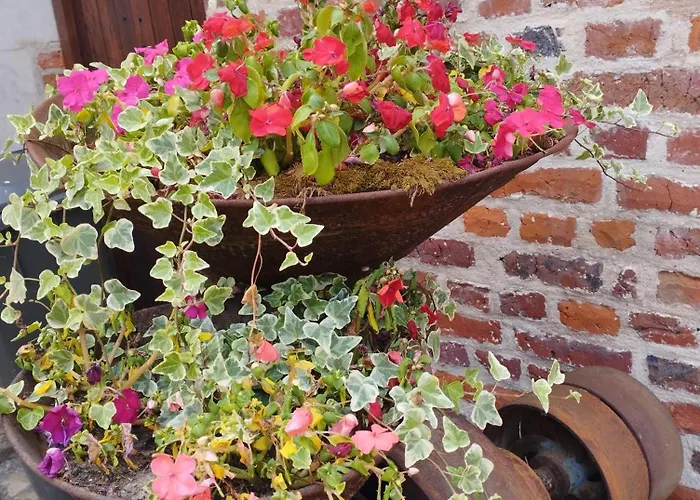 Les Racines בית נופש *